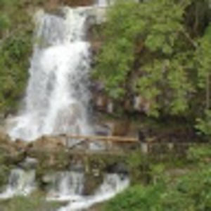 Meet your Posher, Shannon kenneth